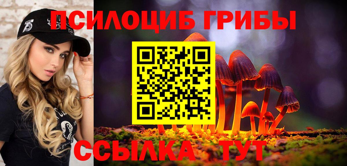 Псилоцибиновые грибы Psilocybe  Вход с VPN  что такое   Кинель 
